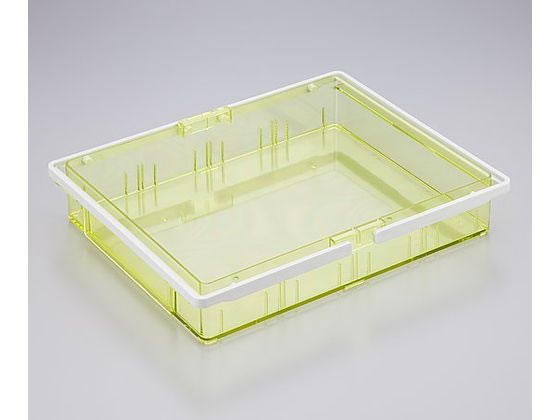 �R��Y��(�R���h��) �g�������� ���t���O�� �C�G���[ 8-2699-04