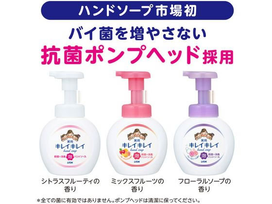 ライオン キレイキレイ 薬用泡ハンドソープ 本体 250mL 通販