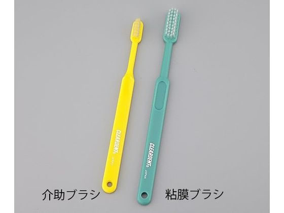 �N���A�f���g ���u���V ��u���V 8-2981-01