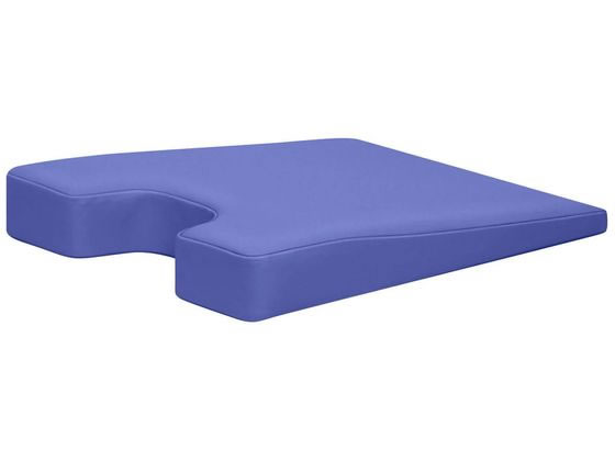 ���c�x�b�h �J���[�o�X�g�p���^�}�N�� H30�^50mm ���C�g�u���[ TB-77C-130