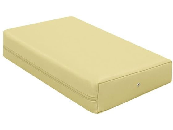 ���c�x�b�h �J���[�}�b�T�[�W�}�N�� �A�C�{���[ TB-77C-05