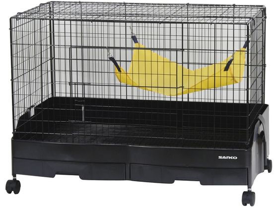 �O�W���� �C�[�W�[�z�[�� �t�F���b�g80 978