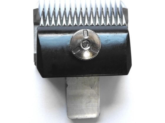 �s�� Bloom�o���J���p�֐n 6mm