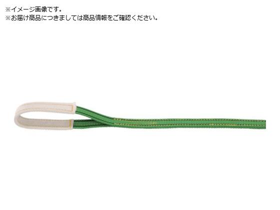 ●全長（ｍ）：６●ベルト寸法（ｍｍ）幅×厚さ：２５×６●アイ部幅（ｍｍ）：３０●アイ部長さ（ｍｍ）：２１０●アイ部厚さ（ｍｍ）：８●縫製部長さ（ｍｍ）：２００●１００℃以下●最大使用荷重（ｔ）：０．５