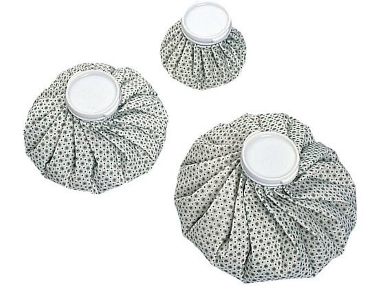 �O�b �A�����J���X�̂�(��)�� �A�C�X�p�b�N 01-5281-02 6�C���`