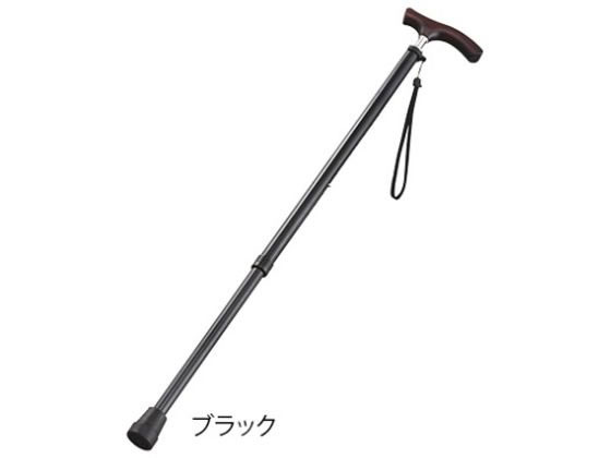 �L�k��(�X�����l�b�N�^�C�v)�u���b�N(�j���p) 8-6960-02