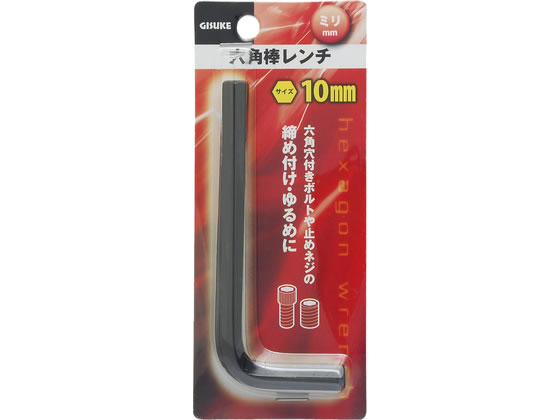 TAKAGI GISUKE �Z�p�_�����` �~�� 10.0mm