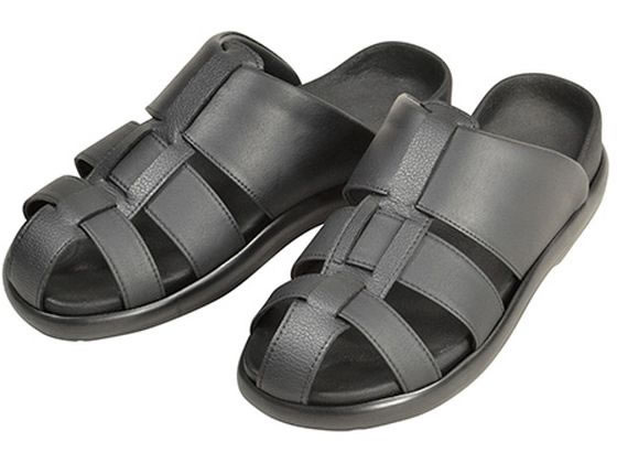 �A�Y���� �h�N�^�[�T���_��79N �� M 25.0�`25.5cm 8-7544-20