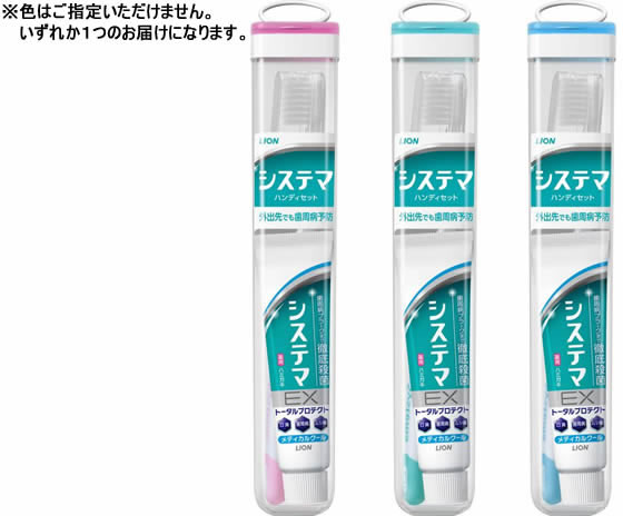 ライオン デンターシステマハンディセット 通販【フォレストウェイ】