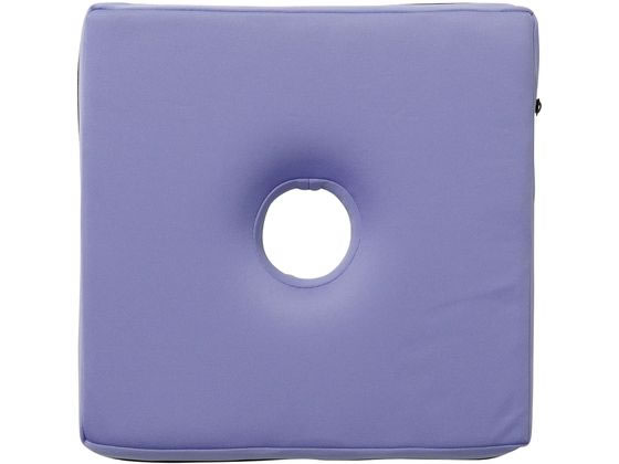 �􂦂�ᔽ���p���N�b�V���� ������ �~�� �u���[ CH450407B01