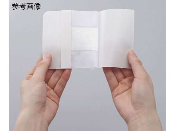 �j�g���Y �D���p�b�h(�s�D�z���p�b�h�t�h���b�V���O)100�~160mm 1��(20����) 8-8464-04