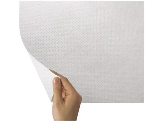 �����Y�� NS�h���V�[�c(���ŋ�)�f�B�X�|�V�[�c 20-2420-00 18106(50X60CM)500�}�C