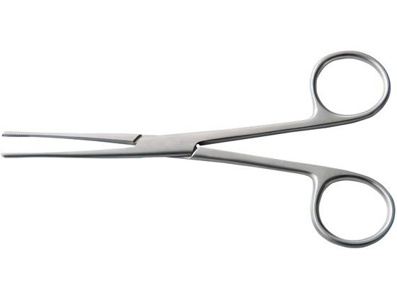 ���{�t���b�c���f�B�R ���X�^�[��q 23-5203-00 F082-1101(15CM)