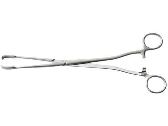 ���{�t���b�c���f�B�R �ˌ����S����q 23-5204-00 G310-1001(25CM)