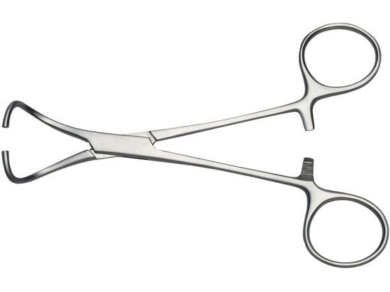 ���{�t���b�c���f�B�R �z��q(�^�I����q)���k�^�E�� BOX 22-2253-00 F013-2923H(13CM)