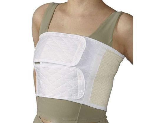 ���{�q�� �_�C���t�B�N�XII�^(M NE-622(20X95CM)