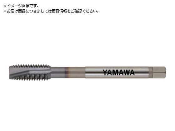 } Z-PRO R[eBO|Cg^bv VUPO P2 M2.5X0.45 VUPO-P2-M2.5X0.45