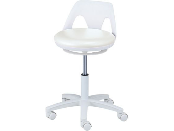 �A�Y���� �i�[�X�`�F�A(���N�[�� ���C�h)�����O���� �z���C�g 9-1290-06