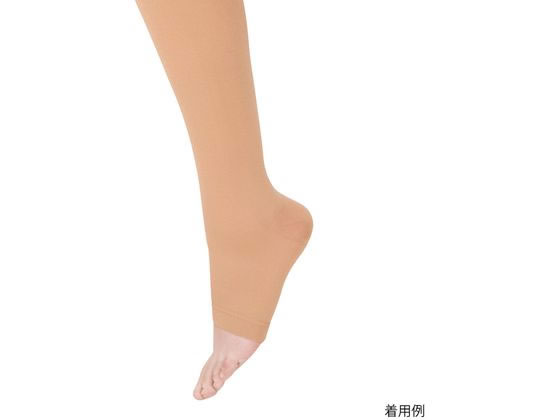 �A���P�A �A���V���N�E2 �n�C�\�b�N�X(�ܐ�Ȃ�)���C�g�u���E�� L