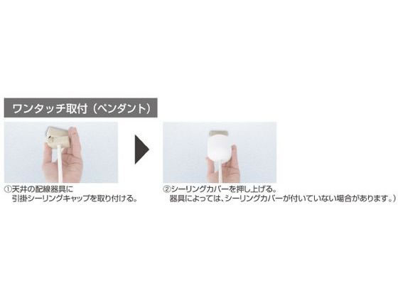 タキズミ LEDペンダントライト オリジナル TRVR12565 通販【フォレスト