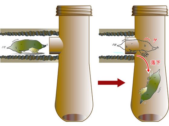 (まとめ) ミツギロン モグラ被害 モグ落下 116×100×305 MOGU 1個 〔×10セット〕 ミツギロン モグラ被害 モグ落下 116×100×305 MOGU 1個 〔×5