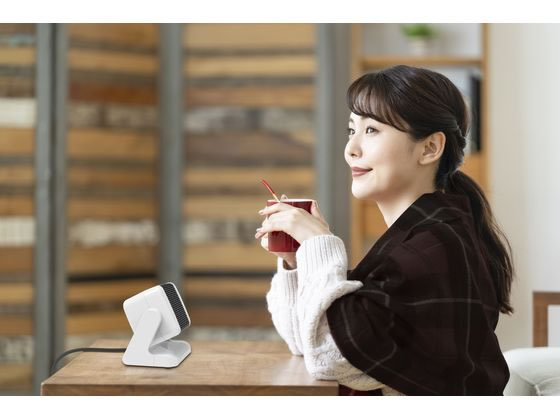 トップランド コンパクトセラミックヒーター SCCH25-WT 通販