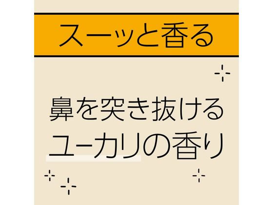 アース製薬 マモルーム ハウスダスト・花粉用 2ヵ月用セット