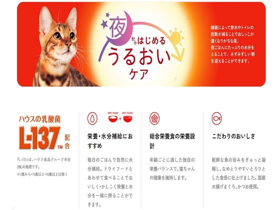 日本ペットフード ビューティープロ キャット パウチ 15歳以上 35g