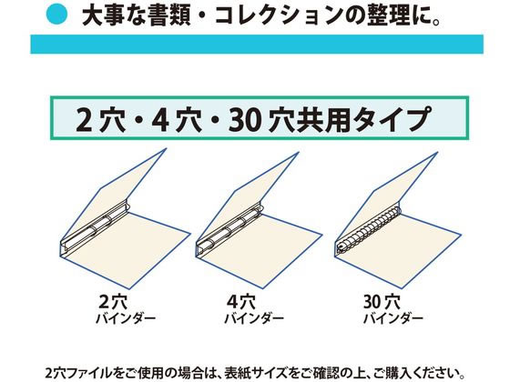 リフィルポケット A4 30穴・2穴4穴 1パック100枚入 セキセイ/EC