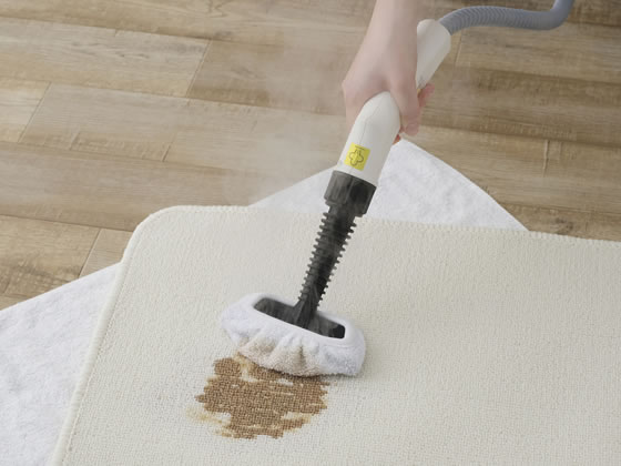 新品】スチームクリーナー STM-305R-C スチームクリーナー