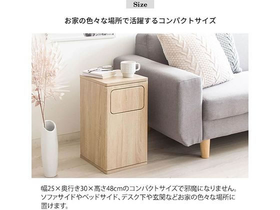 宮武製作所 ウッドプッシュダストボックス Emproエンプロー ブラウン