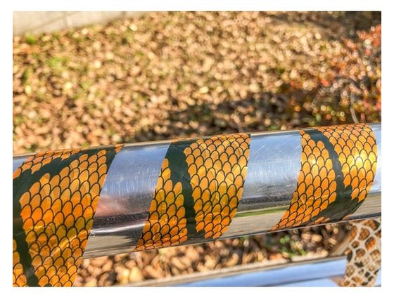 Dio スネークテープ 2色(ヘビ柄緑1巻、ヘビ柄オレンジ1巻) 262293 通販