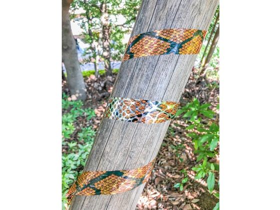 ☆〜やーSHOP様確認用 Dio スネークテープ 2色(ヘビ柄緑1巻、ヘビ柄オレンジ1巻) 262293 通販