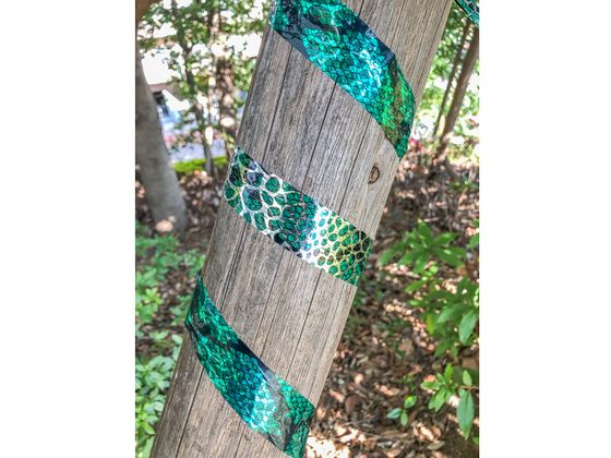 ☆〜やーSHOP様確認用 Dio スネークテープ 2色(ヘビ柄緑1巻、ヘビ柄オレンジ1巻) 262293 通販