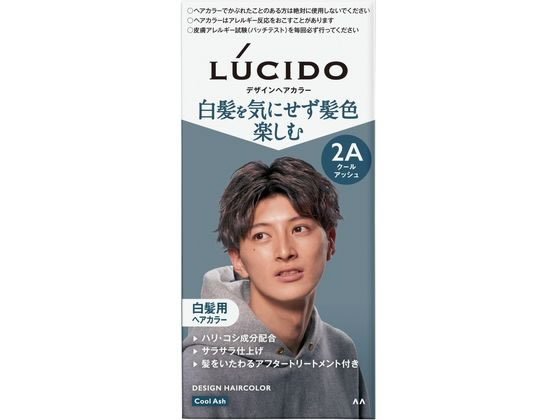 マンダム ルシード デザインヘアカラー クールアッシュ 2A 通販