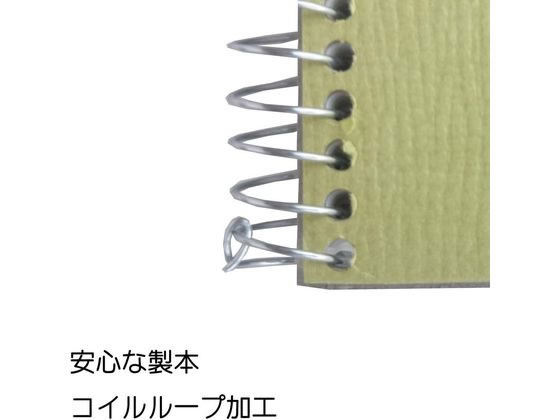 マルマン スケッチブック F8 452×379mm 20枚 S88 通販【フォレストウェイ】