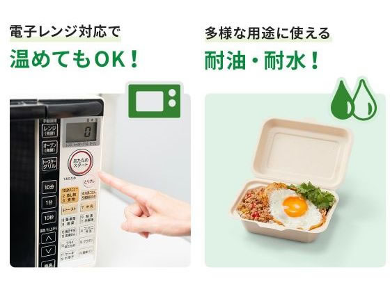 パックスタイル バガス容器 BBランチ 200-220-3 50枚 通販【フォレスト