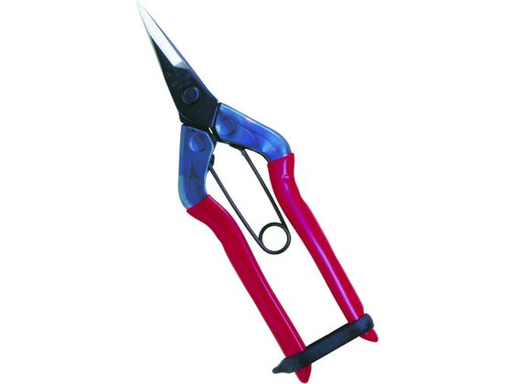 ߐ E 뒼n BP T-500