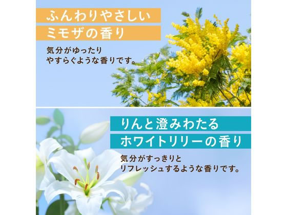アース製薬 温泡 フローラルシーン 12錠 通販【フォレストウェイ】