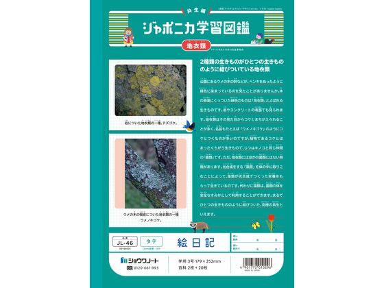ショウワノート ジャポニカ学習帳 絵日記 タテ JL-46 通販【フォレスト