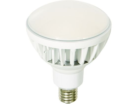  LED nCXybNGRrbN50W E39 {̔ L50V2-J110W-50K