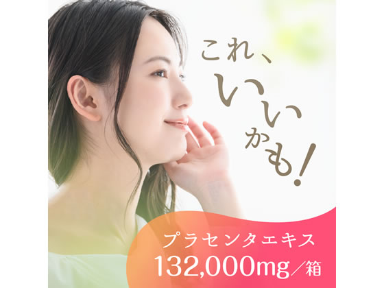 【値下げしました】ナイアガラ 未使用品 絶版 アオシマから塗装済み1/12スケールモデル「KAWASAKI Ninja ZX