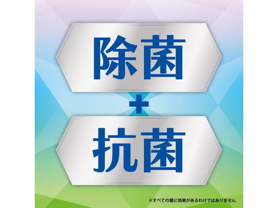 金鳥 コバエコナーズ キッチン用スプレー 腐敗抑制+瞬間消臭 金鳥 コバエコナーズ キッチン用スプレー 腐敗抑制+瞬間消臭