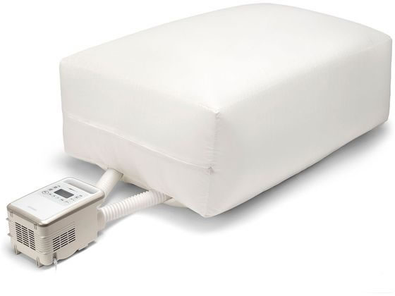 【ブンちゃん】 レビュー》BEE-03W WASP GIRL ブンちゃん 可動フィギュア[蝸之殼