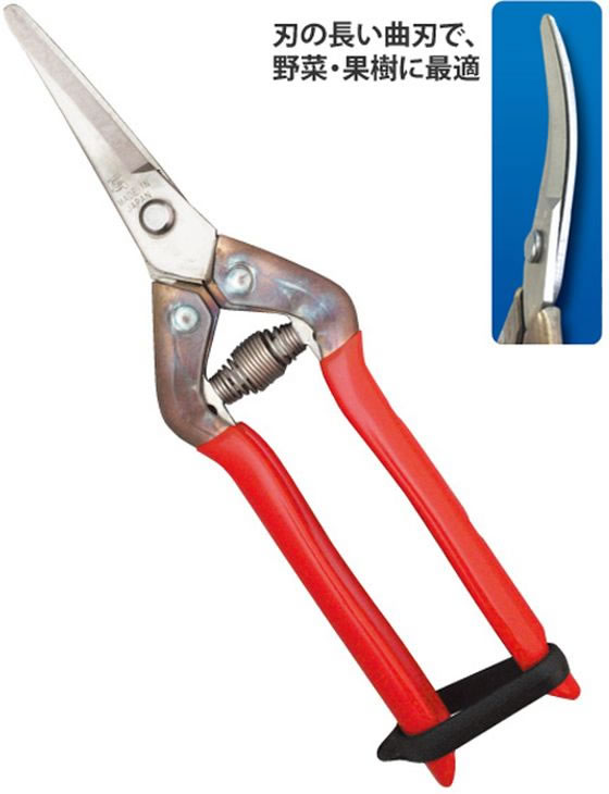 近正 オールステンレス収穫鋏 BP T-55SR 通販【フォレストウェイ】