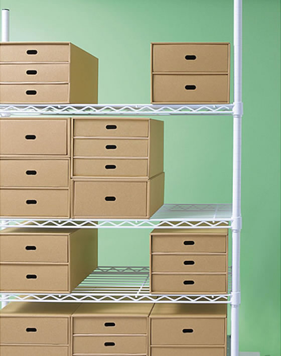 エターナルヴォイス ブースターパック & エポリューション　段ボール２箱売り エターナルヴォイス ブースターパック & エポリューション 段ボール2