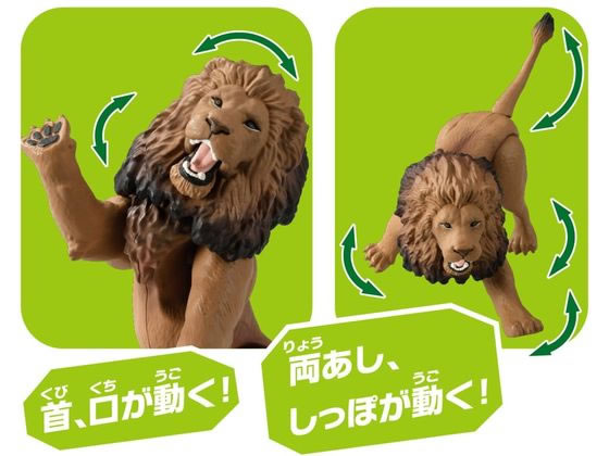 タカラトミー アニア AL-25 ライオン 通販【フォレストウェイ】