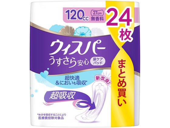 P&G EBXp[ S 120cc 24 