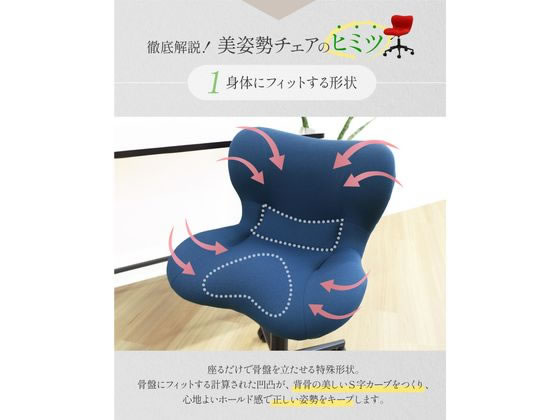Netforce 美姿勢チェア デスクチェア ブラック BIS-1-FW-BK 通販