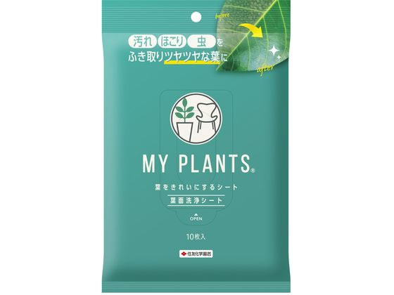 ZFw| MY PLANTS tꂢɂV[g 10